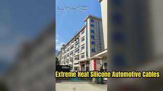 Pengenalan Pabrik Dongguan Lianke Cable Technology Co., Ltd.