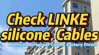 Teknologi Kabel Dongguan Lianke: Pengenalan Produk Kabel Silikon Profesional